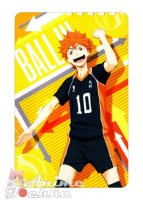 Haikyuu 29